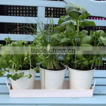 Hot selling Flower Pot