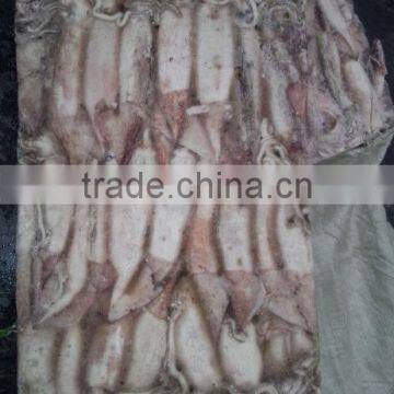 Frozen Whole Round Squid Todarodes Pacificus photo-5