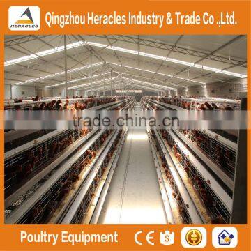 Trade Assurance Types of Hot Dip Galvanized Egg Layer Poultry Cages photo-5