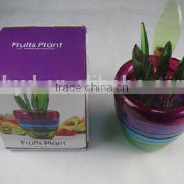 Trade Assurance Supplier for Fruit Plant Smart Kitchen Tool Kitchen Accessory photo-3