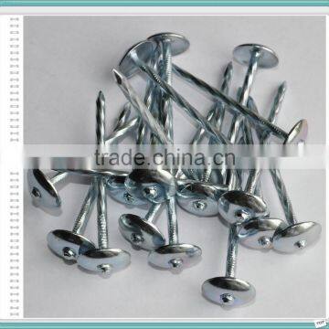 E.G. Umbrella Head Roofing Nails With Low Price From China