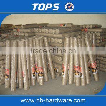China Cheap Hexagonal Chicken Wire Mesh photo-3