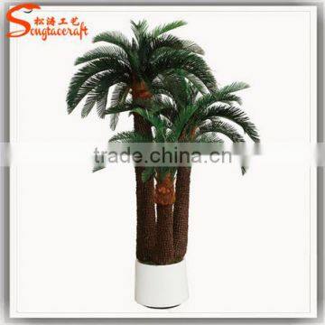 Factory Design Life Size Bonsai Plants for Sale Indooor Plastic Bonsai Tree photo-5