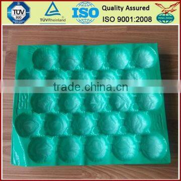 FDA Approval Vacuum Formed Blister Packaging 29x49cm Alveolus PP Tray For Fresh Fruits photo-5