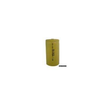 Rechargeable Battery (D5000)