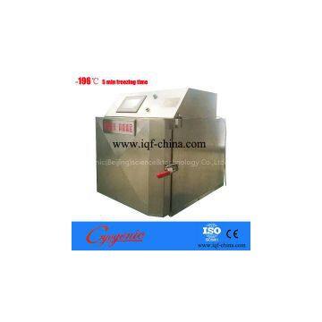 iqf food small freezer