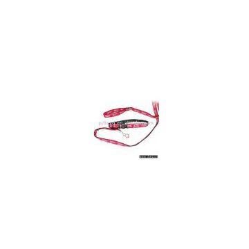 Sell Dog Leash photo-1