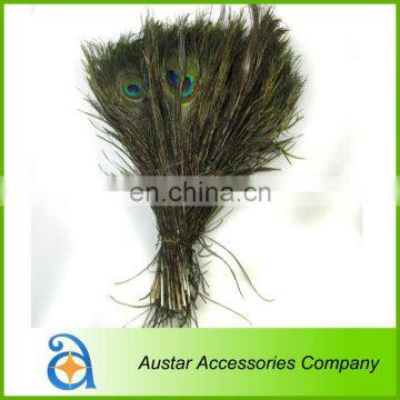 High Quality Peacock Feather Pieces FOR Decorative