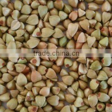 organic buckwheat