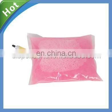 Empty Hand Soap Refill Bag