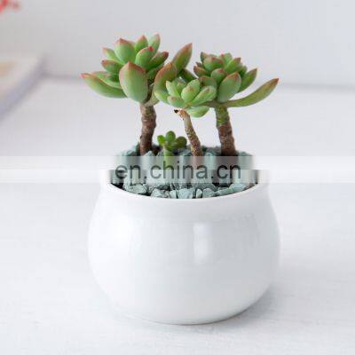 Popular Design Small Gift Felt Ceramic Home Decorating Car-Shape-Flower-Pots Human Outdoor Flower Pots