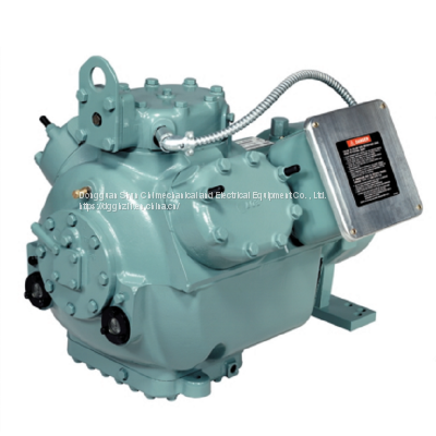 06EF299610 、06E2299  40P-piece semi-enclosed air conditioning cold storage compressor 06EA29961