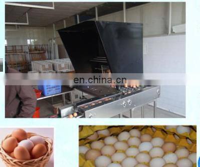 Egg Production Line/ Egg Washing Cleaning Drying Printing Grading Production Line photo-3