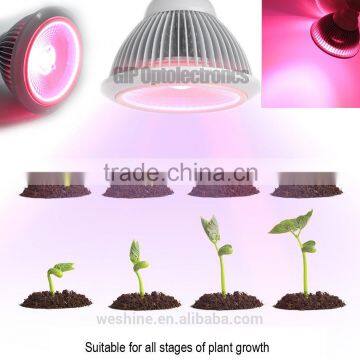 Led Light Plant Indoor Spot Lights 27w Cob Integrated Indoor Plant Led Grow Light Spot for Flower and Fruit Blooming photo-5