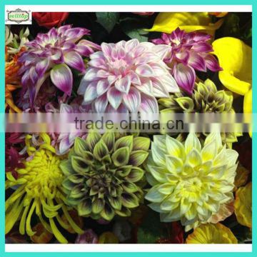 75cm 2 heads real touch pu fake dahlia whole sale