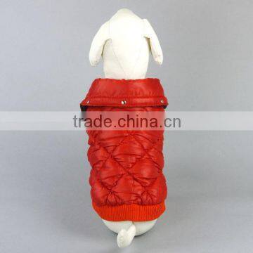 Clothes of Dog photo-4