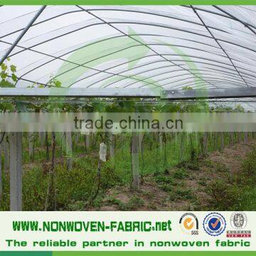 Eco Friendly 100% Polypropylene Spunbond Nonwoven Fabric for Agriculture Fruit Bag, Green House Garden Flower and Plants photo-6