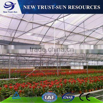 Single layer plastic greenhouse for vegetable growing