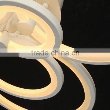 Hot Selling 100W Modern Ceiling Lights Stainless Steel 220V Simple Ceiling Lamps photo-3