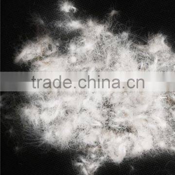 JIS L1903 90% Grey Goose Down photo-3