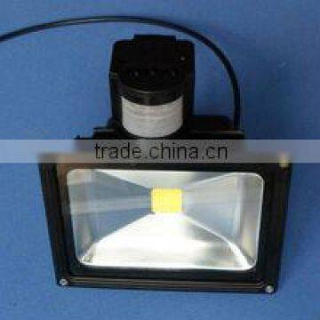 50W Bridgelux Chip IP65 12v PIR led flood light