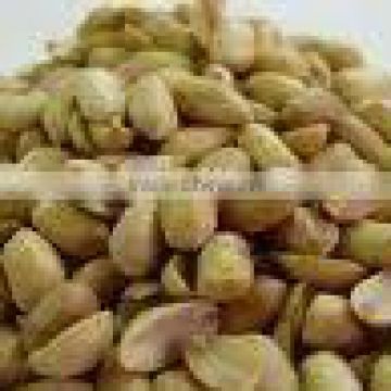 blanched peanuts kernel 36/41