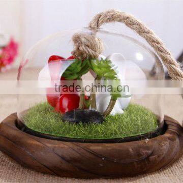 Personalized China Gift Items Mini Garden Trend Christmas Gift 2015 , Japan Gift Shop photo-3