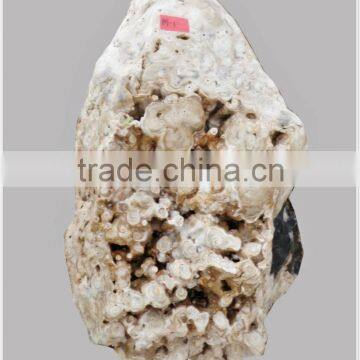 Thai Showstone for Garden photo-4