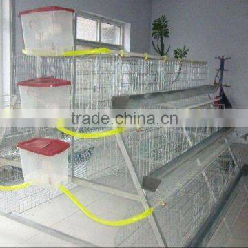 (Germany TUV Rheinland)anping auto water chicken cage(factory) for Africa