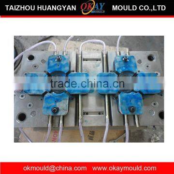 Professional in Plastic precision injection parts mould