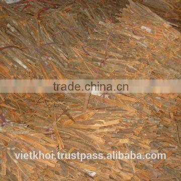 High Quality Cassia (website: Vietkhoico.ltd)