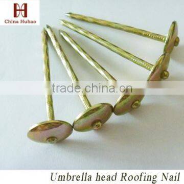 BGW14-8,1-4" galvanized roofing nail shipping in tianjin