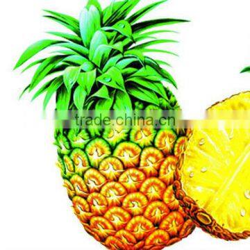 100% Natural Bromelain