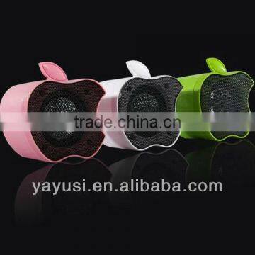 portable mini amplifier with stereo sound