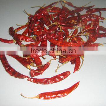 S4 Sannam Chilli With Stem Export To Mexican Countries