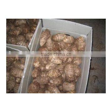 Chinese Carton Packed Taro