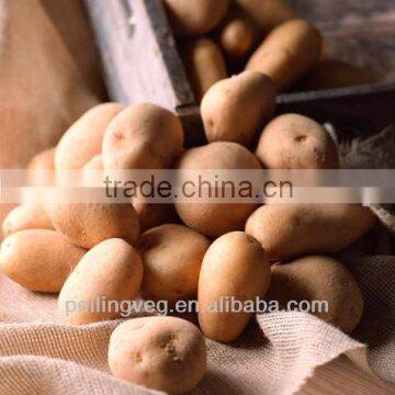 new fresh potato planter from China