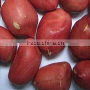 RED SKIN BOLD PEANUT / GROUNDNUT KERNEL 38/42