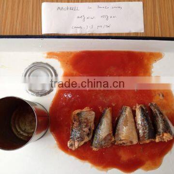 Canned Mackerel in Tomato Sauce to Export Europe