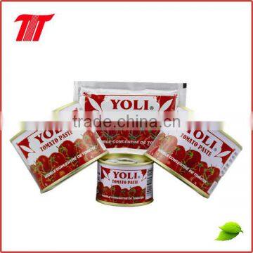 Canned food tomato paste