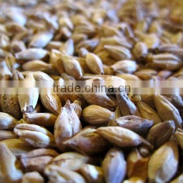 Shandong Tianjiu produce high grade malt extract for food and beverage