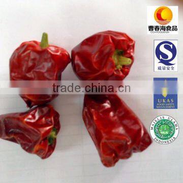 Cute dried red whole lantern chilli