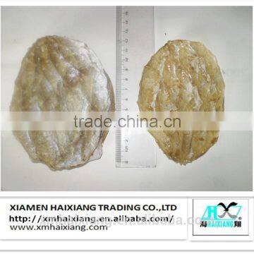 Dried frozen leather jacket fish fillet/file fish fillets