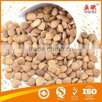 Bulk dry bitter apricot kernel