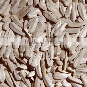 White Sunflower seeds from Turkey