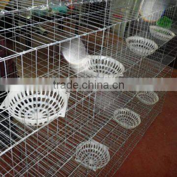 Qatar Poultry Farm Galvanized Wire Mesh Pigeon Cage photo-5