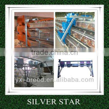 poultry feed machine automatic chicken feeder in China