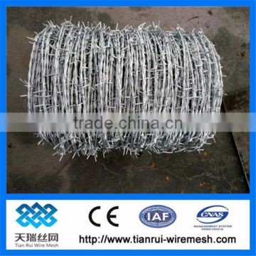 line barbed wire razor