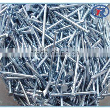 Cheap Price Polishing Common Nails/Common Wire Nails Made in China photo-6