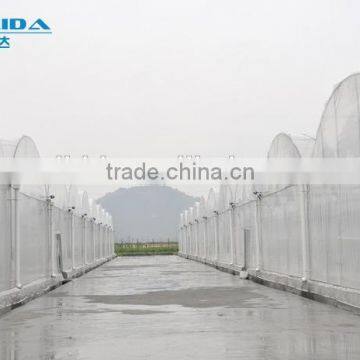 Cheap Easy Multi-span Greenhouse pe Film Green House photo-4